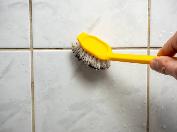 Best Office Mold Removal Services  in Elkton, VA