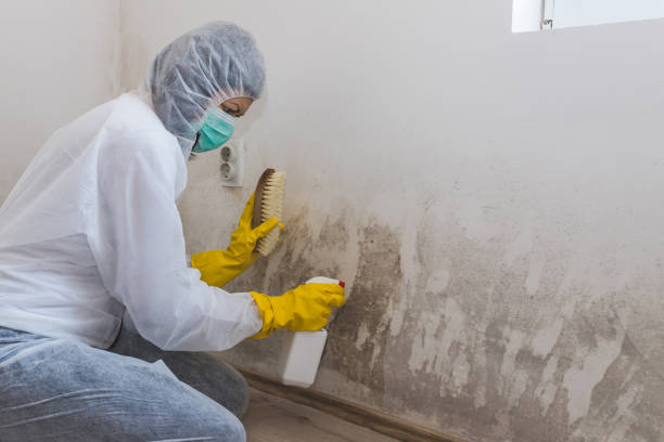 Best Crawl Space Mold Removal  in Elkton, VA