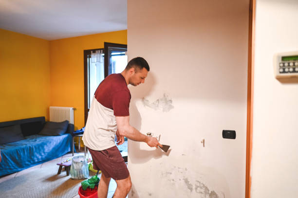 Best Mold Damage Repair  in Elkton, VA